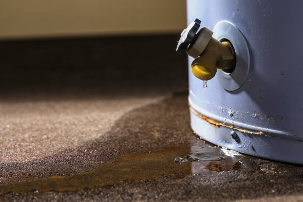 Water damage restoration insurance claims in Buttonwillow, CA