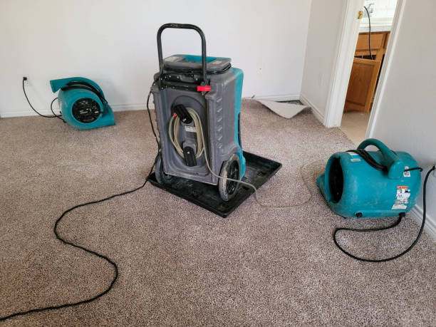 Best Commercial water damage restoration  in Buttonwillow, CA