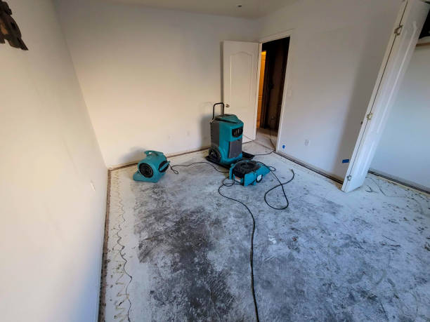 Best Water damage cleanup near me  in Buttonwillow, CA