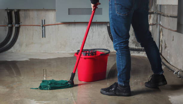 Best Flooded house restoration  in Buttonwillow, CA