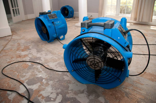 Best Water damage restoration near me  in Buttonwillow, CA
