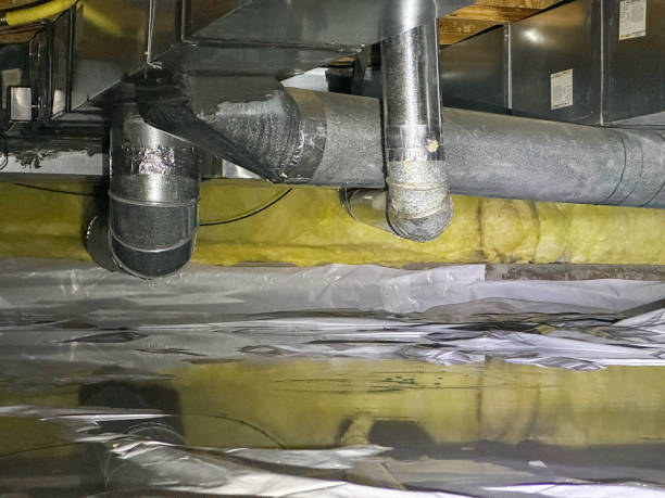 Best Professional water damage repair  in Buttonwillow, CA